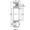 DAI | Wheel Spacer 1.5" / 71.5mm / 5x127 / 1/2"