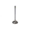 Manley | Valve - Exhaust, Valve-SBF S/F 1.550