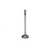 Manley | Valve - Exhaust, Valve-FD 5.0L R/M 32mm