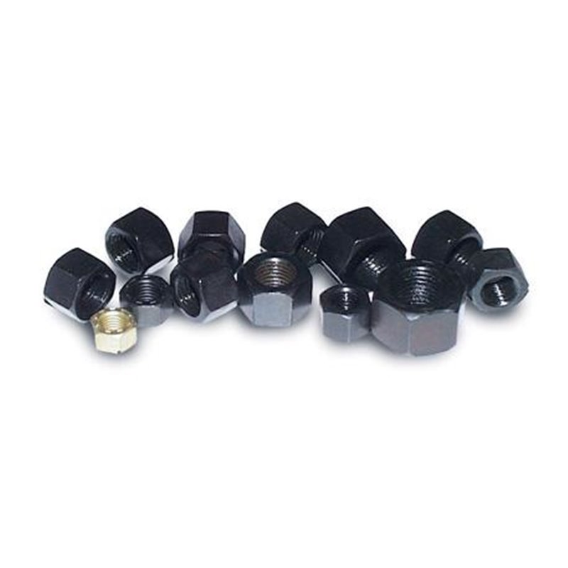 ARP | 5/16-24 SS Fine Nyloc Hex Nut Kit