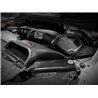 aFe Power | Momentum GT Cold Air Intake w/Pro DRY S - F-150 Raptor 3.5T 2021-2022
