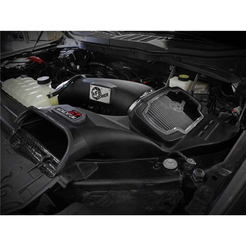 aFe Power | Momentum GT Cold Air Intake w/Pro DRY S - F-150 5.0L 2021-2022