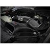 aFe Power | Momentum GT Cold Air Intake w/Pro DRY S - F-150 5.0L 2021-2022