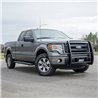 ARIES | Black Steel Grille Guard - F-150 2009-2014