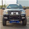 ARIES | Polished Stainless Grille Guard - F-150 / Mark LT 2004-2008