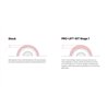 Eibach | Set of 4 Shocks + 2 Front Springs - F-150 2021-2022