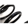 ICON | 21-24 F-150 RAPTOR TRIPLE RATE REAR COIL SPRING KIT - F-150 Raptor / Raptor R 3.5T / 5.2L 2021-2024