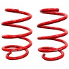 Roush | Performance Lowering Springs - Mustang 2018-2025 w/ MagneRide ROUSH Performance Coil Springs