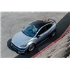 ADRO | AT-S Carbon Fiber Swan Neck Wing - Tesla Model Y