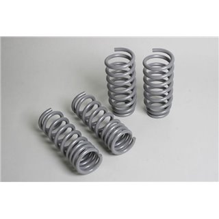 Progress Technology | Sport Lowering Spring Set - 300 / Challenger / Charger / Magnum 2005-2022 Progress Technology Coil Springs