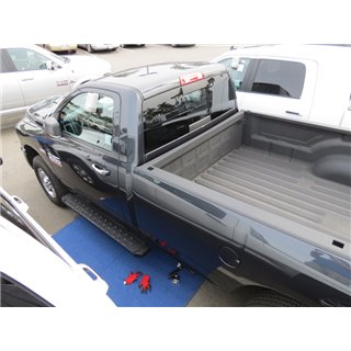 TrailFX | Black Steel Unlightd w/o Logo 300 LB Cap - Ram 1500 / Classic / 2500 / 3500 2015-2022 TrailFX Step Bars
