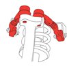 SPC | AUDI A4 CONTROL ARMS KIT - Front Upper - Audi 2017-2022