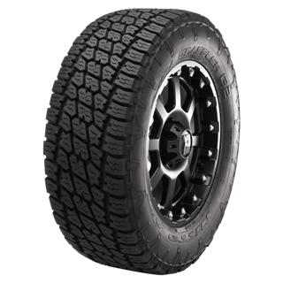 Nitto | NT555 G2 P315/40ZR18  - Summer