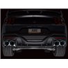 AWE Tuning | Track Edition Exhaust - Mustang Dark Horse / Dark Horse Premium 5.0L 2024-2025