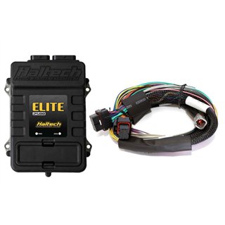 Haltech | Elite 2500 + Basic Universal Wire-in Harness Kit 2.5m (8?)