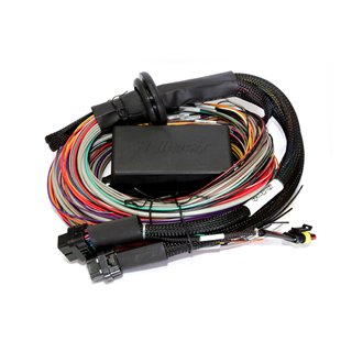 Haltech | Elite 2500 - 2.5m (8 ft) Premium Uni Wire-in Harness