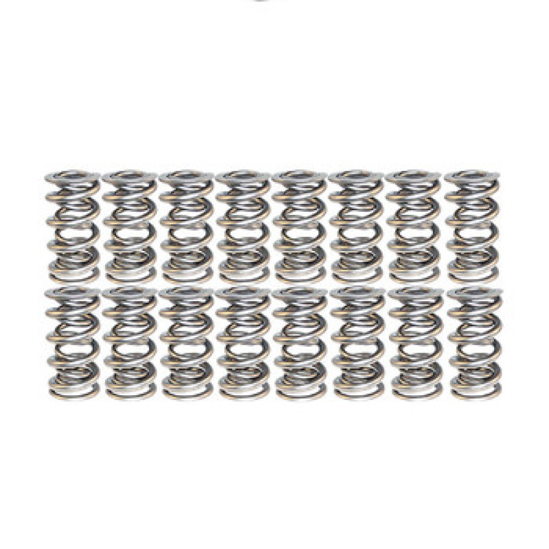 Manley | Valve Spring, SPRING-1.640 DOUBLE