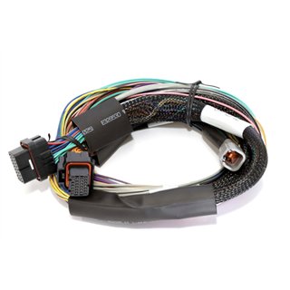 Haltech | Elite 2500 - 2.5m (8 ft) Basic Uni Wire-in Harness Only