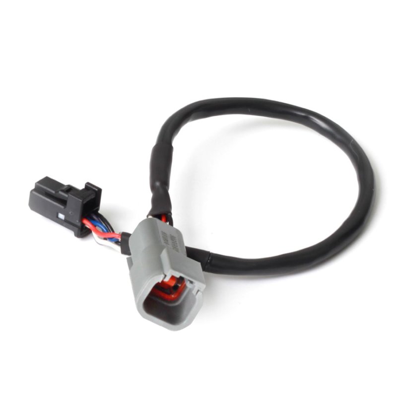 Haltech | Haltech CAN Ada Cable DTM-4 F to 8 pin Black Tyco 75mm (3in)