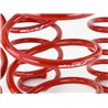Skunk2 | Lowering Springs (Set of 4) - Civic 2016-2021