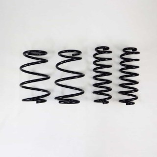 RS-R | Down Sus Coil Springs - RAV4 AWD 2019-2025 RS-R Coil Springs