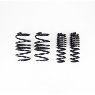 RS-R | Super Down Sus Coil Springs - GR Supra 2020-2026 RS-R Coil Springs