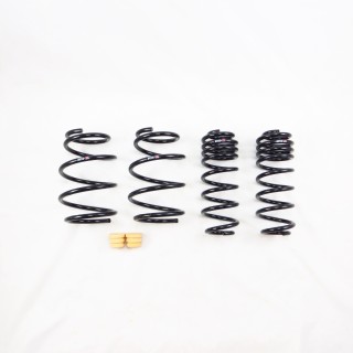 RS-R | Super Down Sus Coil Springs - Corolla Hatch 2019-2026 RS-R Coil Springs