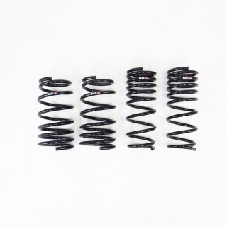 RS-R | Super Down Sus Coil Springs - BRZ 2022-2026 RS-R Coil Springs