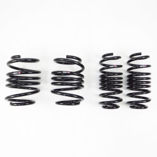 RS-R | Down Sus Coil Springs - Civic Type R 2017-2021 RS-R Coil Springs