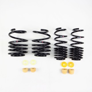 RS-R | Super Down Sus Coil Springs - Civic Type R 2017-2021 RS-R Coil Springs
