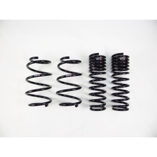 RS-R | Down Sus Coil Springs - Forester 2019-2024 RS-R Coil Springs