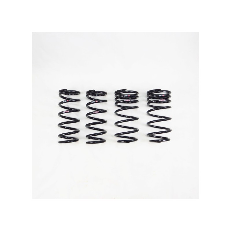 RS-R | Ti2000 Down Sus Coil Springs - LC500 2018-2025 RS-R Coil Springs