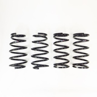 RS-R | Down Sus Coil Springs - RX350 AWD 2010-2015 RS-R Coil Springs