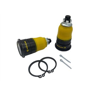Whiteline | Roll Centre - Correction Kit - RSX Base / Type-S 2.0L 2005-2006