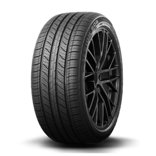 RYDANZ | RALEIGH R06 255/55R18 440AA 109V XL - 4 Saisons