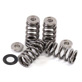 GSC | Beehive Spring Kit 100lbs/221lbs - Audi RS3 Daza