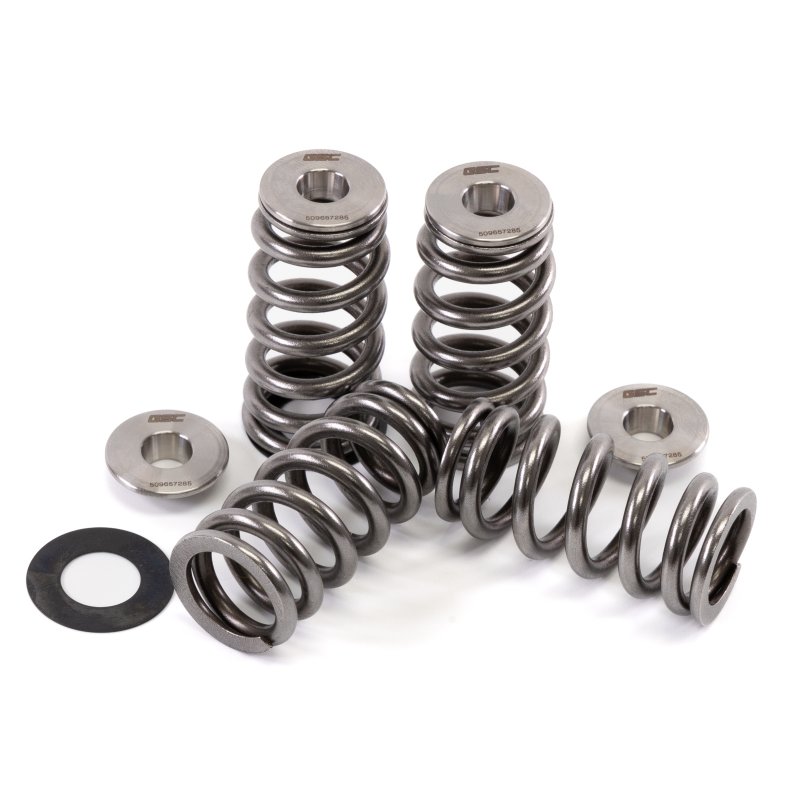 GSC | Beehive Spring Kit 100lbs/221lbs - Audi RS3 Daza