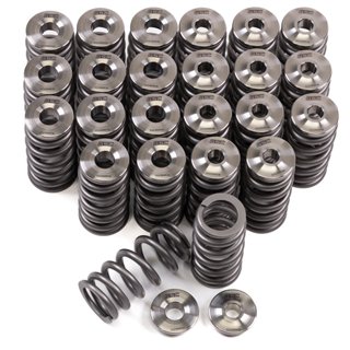 GSC | Beehive Spring Kit 101lbs/221lbs - BMW S58