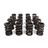 BLOX Racing | Performance Valve Springs - K-Series