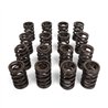 BLOX Racing | Performance Valve Springs - K-Series