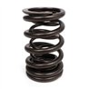 BLOX Racing | Performance Valve Springs - K-Series
