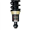 BLOX Racing | Plus Series Coilovers - RSX / Civic 2001-2005