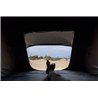 Ironman 4x4 | Ironman 4x4 Ursa 1300 Hard Shell Roof Top Tent