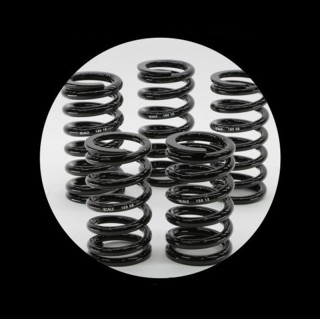 Custom Spring Rate  Accessoires de produit