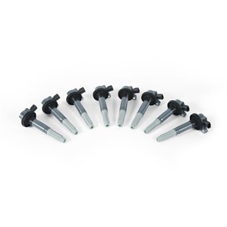 Mishimoto | Ignition Coil