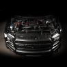 COBB | REDLINE CARBON FIBER AIR SCOOP - F-150 ECOBOOST RAPTOR / TREMOR / LIMITED / 3.5L / 2.7L - 2017-2022 COBB Air intake