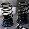SCALE INNOVATIVE SERIES - Forte 2019-2023 SCALE Coilovers