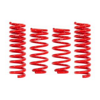 Eibach | SPORTLINE Kit (Set of 4 Springs) - RS3 2.5T 2017-2020