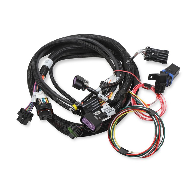 Holley | Terminator® Stealth Series Main Harness
