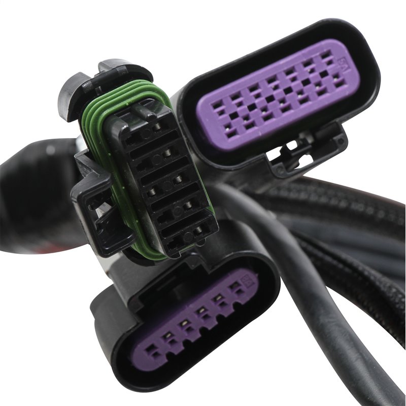 Holley | Terminator® Stealth Series Main Harness